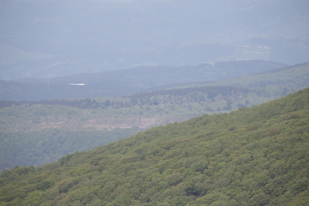 鳥海山