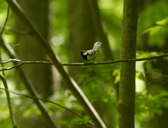 今日は私がモデルよ。
