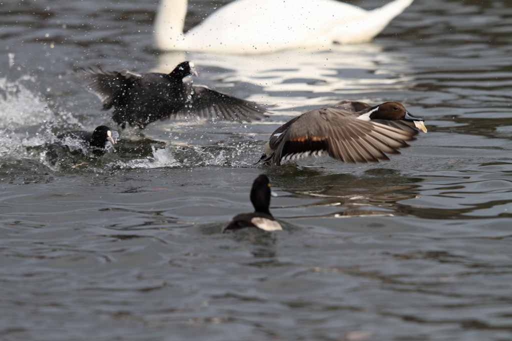 今日までそして明日からも・・