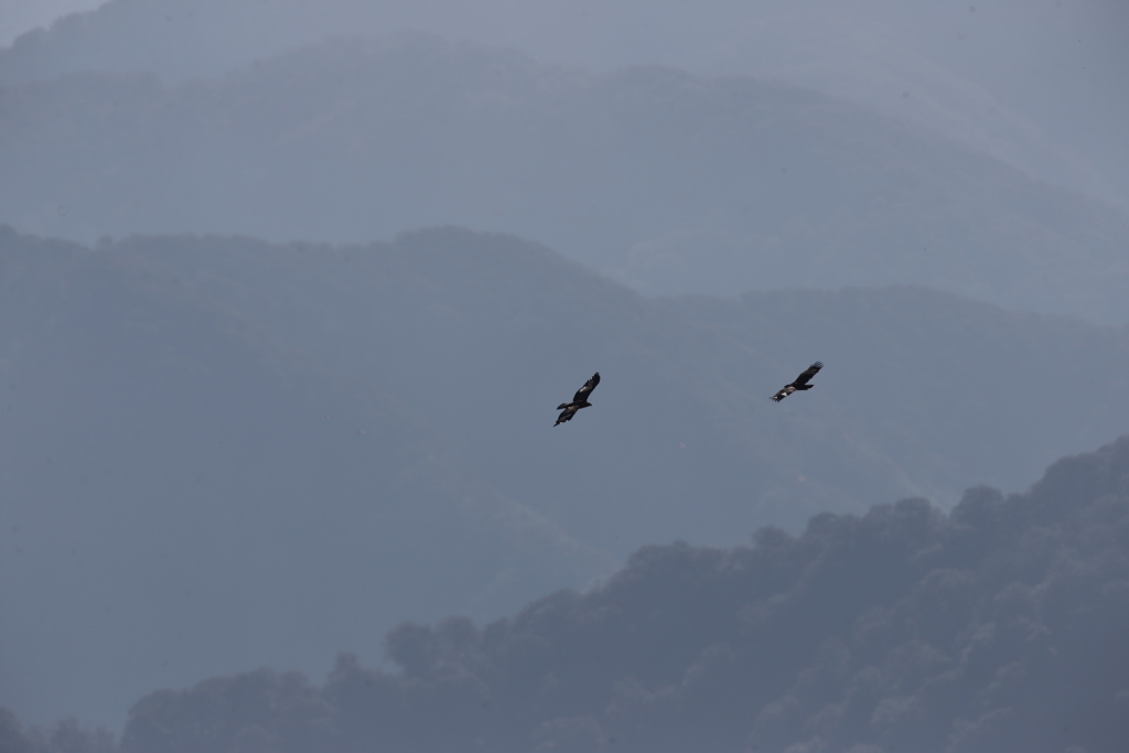 鳥海山
