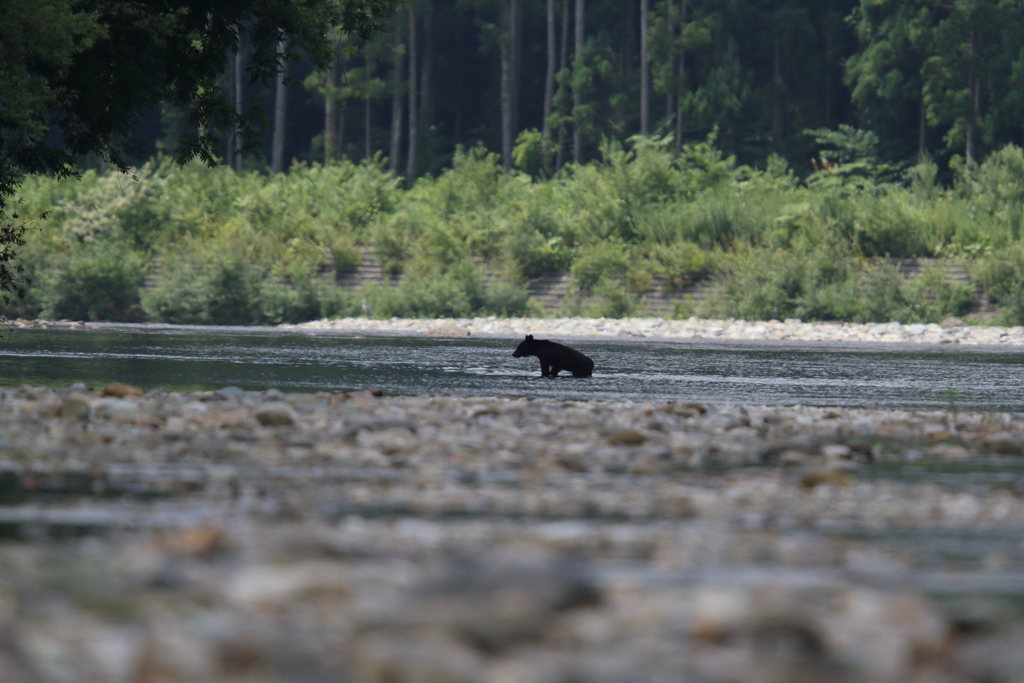 私はこれでこの日の撮影をやめました。