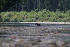 私はこれでこの日の撮影をやめました。