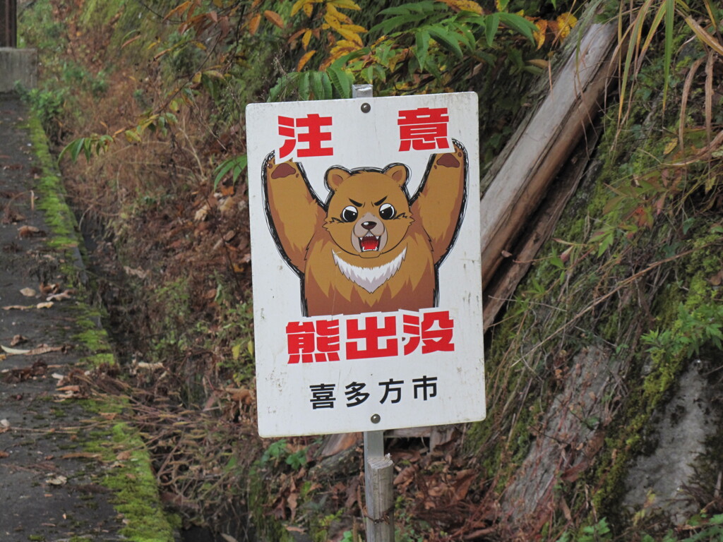 恐くないクマ
