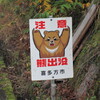 恐くないクマ