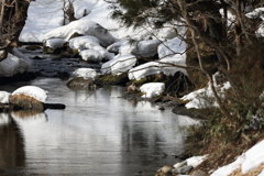 春の渓流