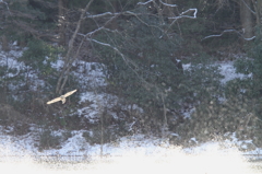 ウワ、出た～！