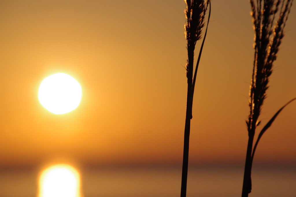 夕陽の様な朝日