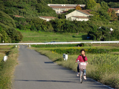 DSC00675