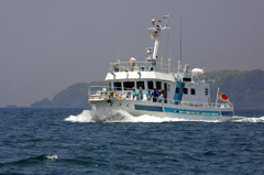 館山湾を快走