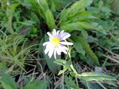 DSC00672