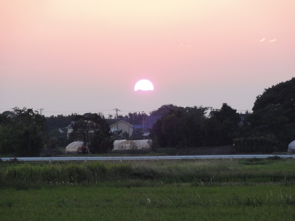 DSC00523