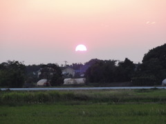DSC00523