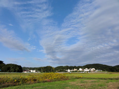 DSC00667
