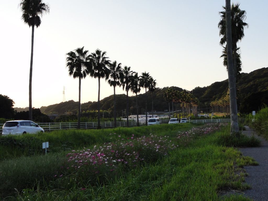 DSC00474
