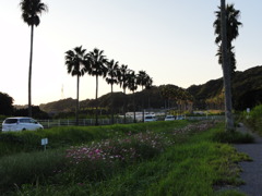 DSC00474