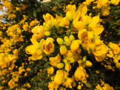 DSC00498