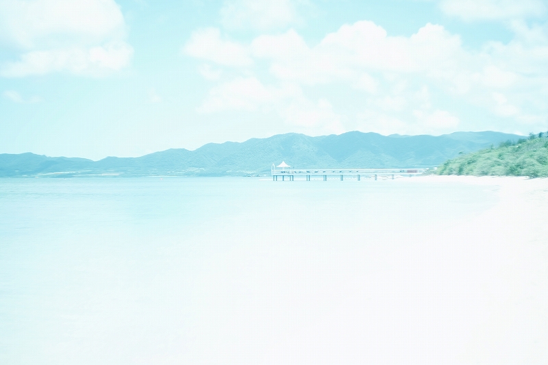 白い夏。