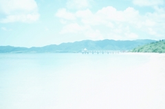 白い夏。