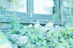 by the window...