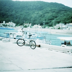 君待つ港。