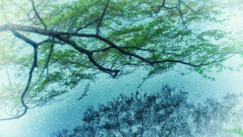 春鏡。