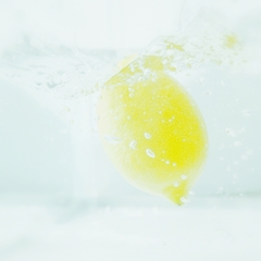 dive!