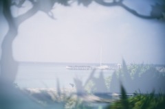 fantasia