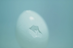 Born
