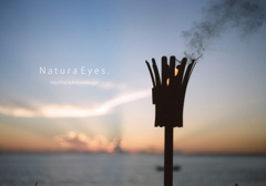 Flame and the evening sky. Flame and the evening sky.