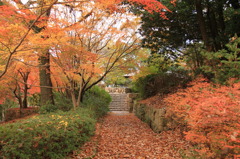 公園