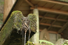 妙見の滝