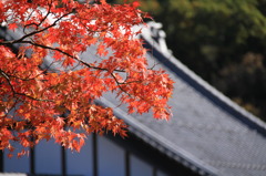 小町寺