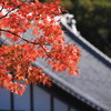 小町寺