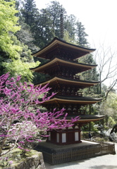 室生寺