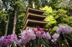 室生寺