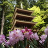 室生寺