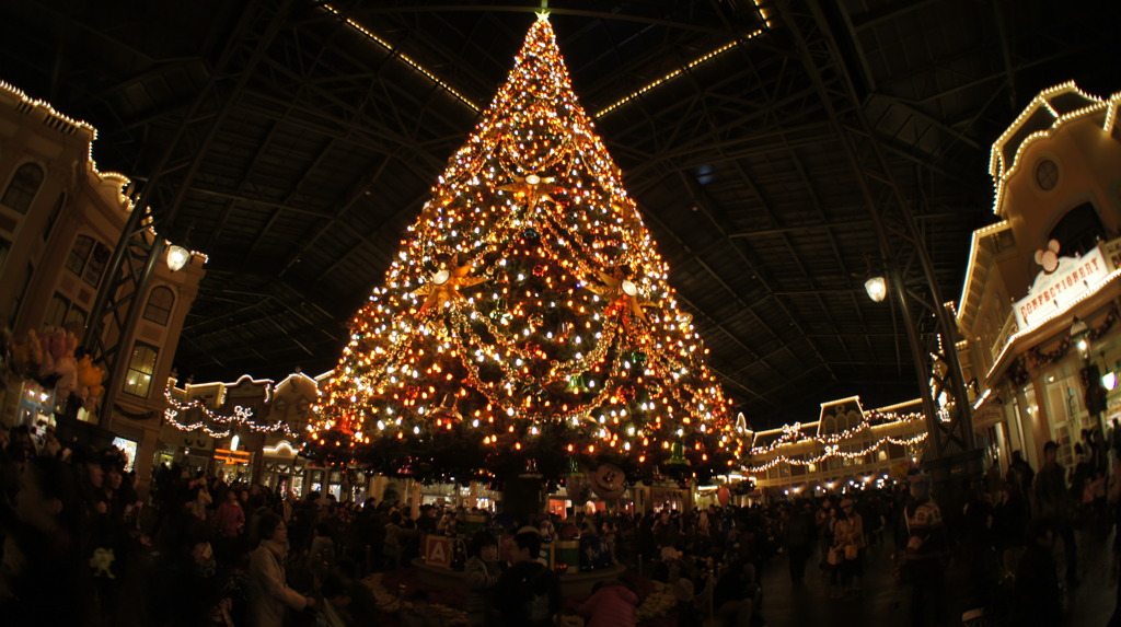 big tree