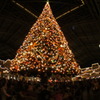 big tree