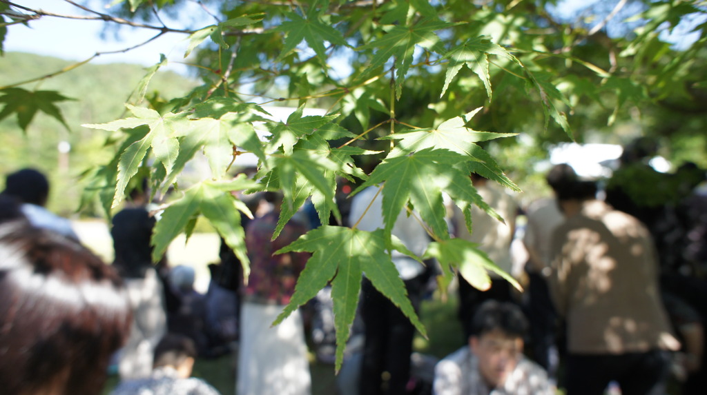 京都の初秋