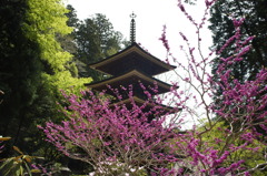室生寺