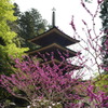 室生寺