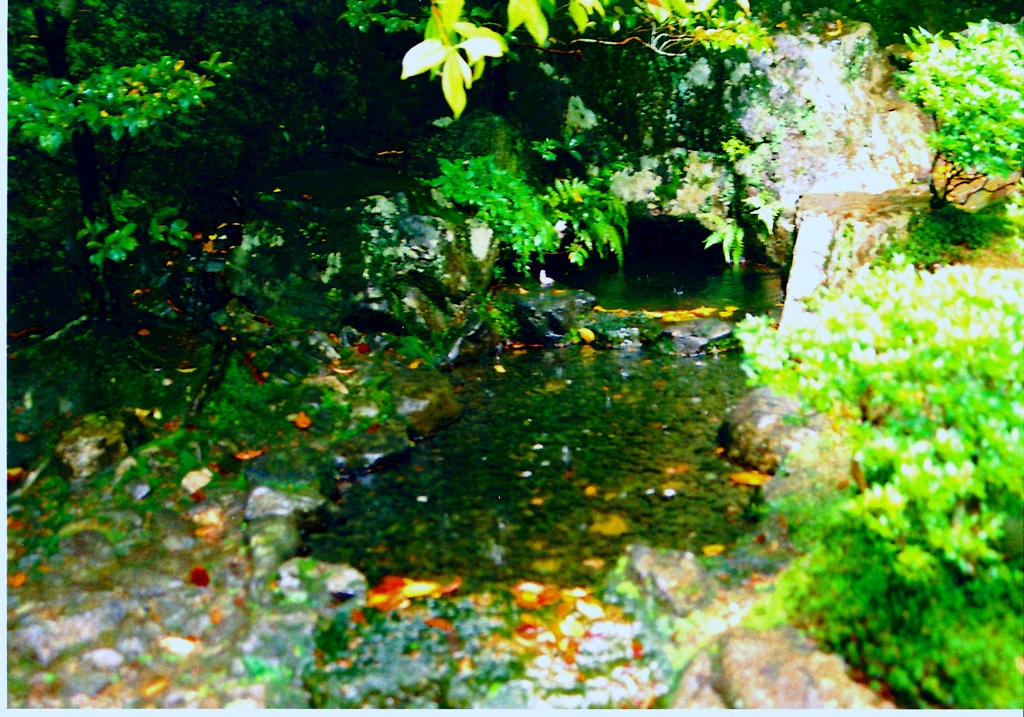京都のどこか