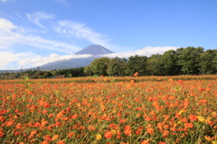 花の都公園