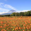 花の都公園