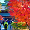 kyoto0012