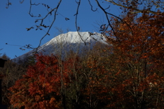 山中湖村からの富士