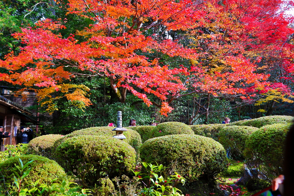 kyoto0025