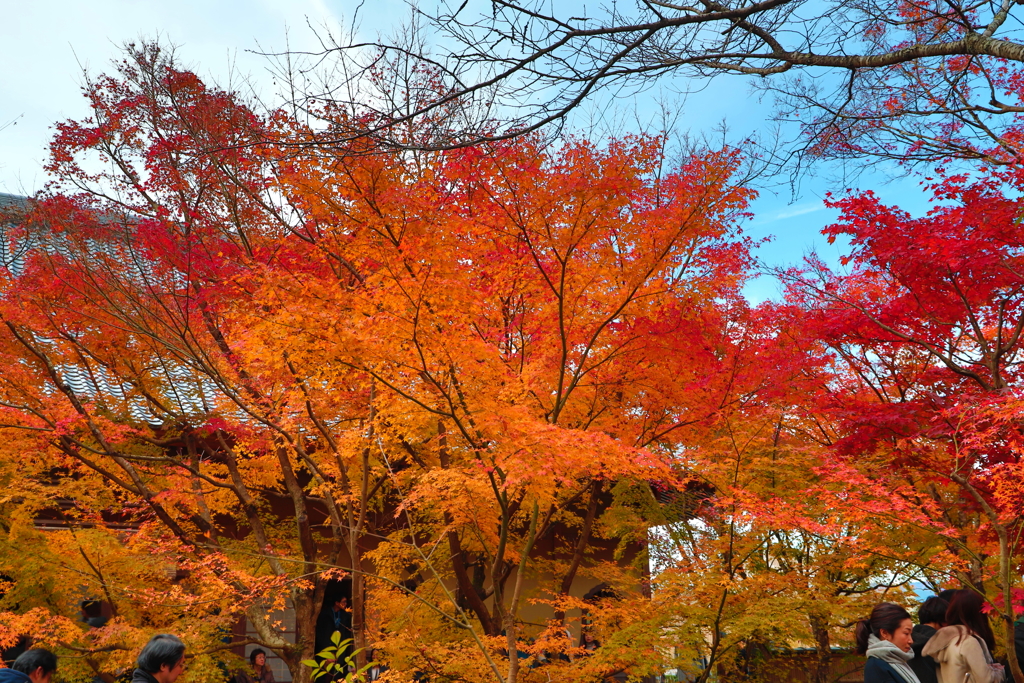 kyoto0028