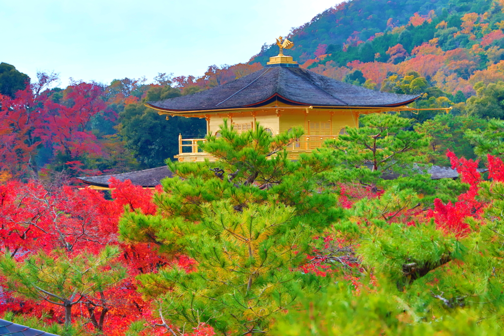 kyoto0034