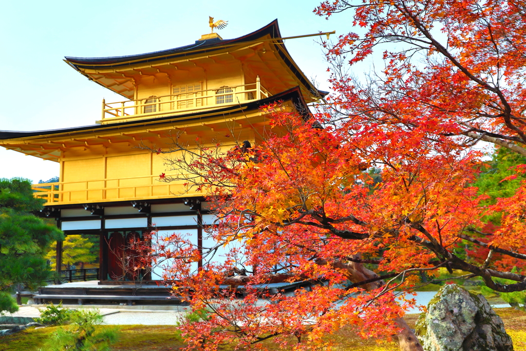 kyoto0033